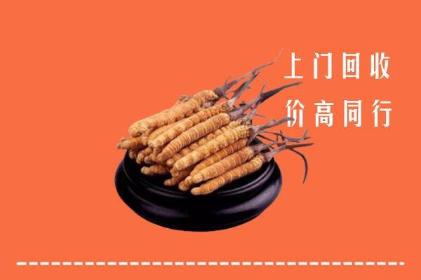 高价求购：六安回收散虫草