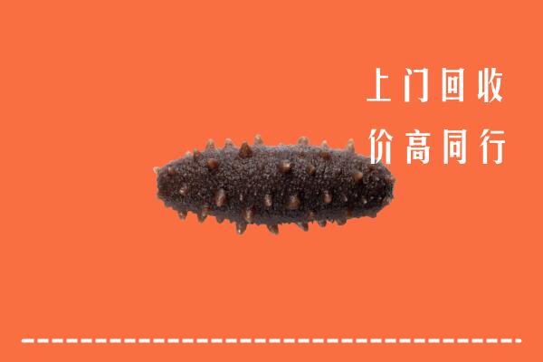 六安回收海参