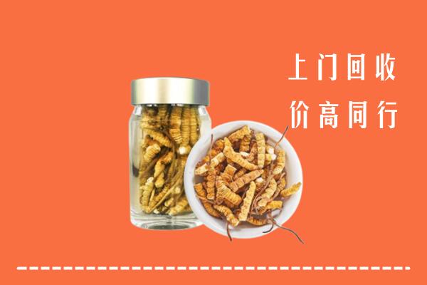 六安回收冬虫夏草