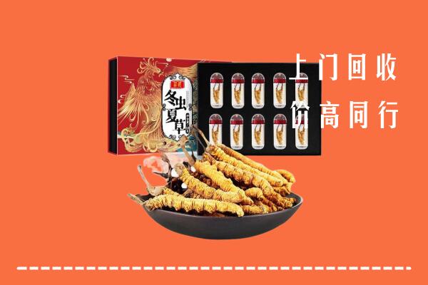 六安高价回收虫草